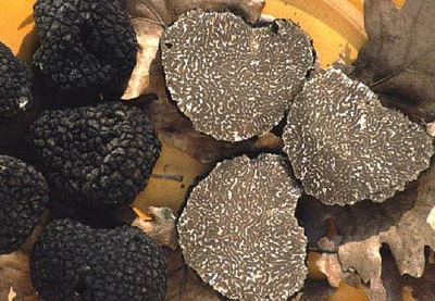 Precious Italian fresh black truffles. Black truffle 110g. 3,8 oz. Mushrooms. - Image 1 of 4