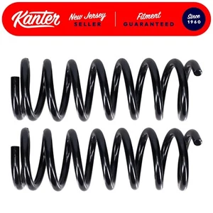 2 Heavy Duty Front Coil Springs 1982-1987 Pontiac Firebird 305 V8 NEW PAIR - Bild 1 von 9