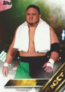 Tarjeta coleccionable Samoa Joe WWE NXT Then Now Forever 2016 Topps #11 - Imagen 1 de 1