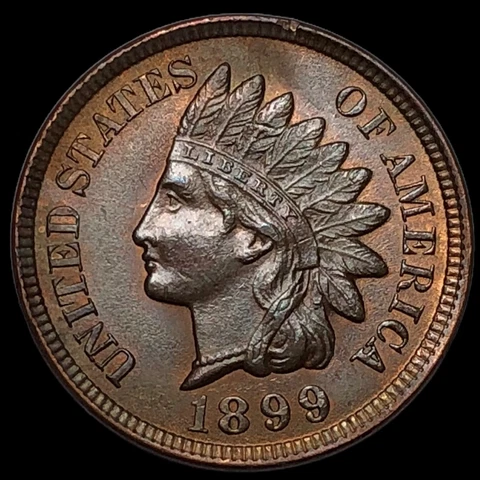 1899 Indian Head Cent Penny  E9841 Cover