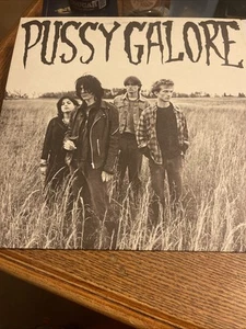 Pussy Galore- Groovy Hate - Vinyl LP Shove Records 1986 2013 Reissue Rare - Foto 1 di 10