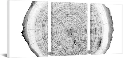 Set of 3 Tree Ring Wall Art Canvas Prints Black, Grey and White Abstract 12"X16" - Image 1 of 4