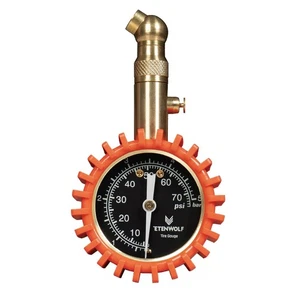 ETENWOLF Tire Pressure Gauge for Cars 0-75 PSI, Air Vivid Orange - Picture 1 of 7