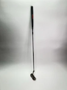 Acuity DN2 Stainless Blade 34” Golf Putter Right Handed RH 31” Shaft Dick’s SG - Picture 1 of 14