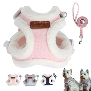 Winter Hundegeschirr Welpe Katzengeschirr Hundemantel Gepolstert mit Leine XXS-L - Picture 1 of 15