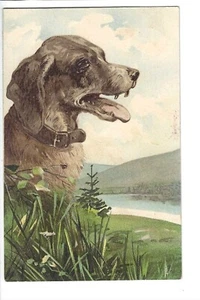 Hunting Dog - Embossed Tuck Oilette - Picture 1 of 2