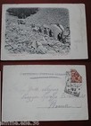 CARTOLINA VIAGGIATA 1902 - TOSCANA - CAVE DI CARRARA - TRASPORTO DEI MARMI -
