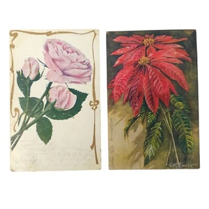 Circa 1900s Pink Roses Poinsettias E R Bauer Floral Flowers Vintage Postcards - Picture 1 of 16