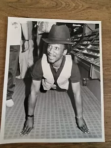 Curiosity Killed The Cat , Rare Genuine Press Photo - With Discription 10x8" - Picture 1 of 2