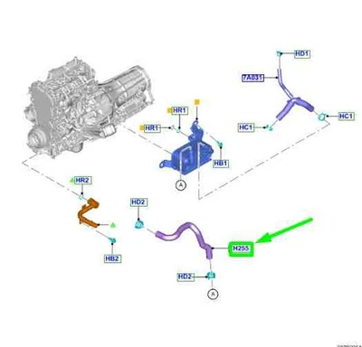Ford Ranger T9 Ölkühlerschlauch 2622989 Originalteil - Image 1 of 2