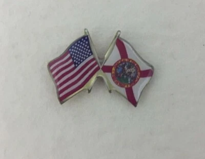 США и ФЛОРИДА скрещенный дружбы флаг лацкан заколка * сделано в США * - Изображение 1 из 4