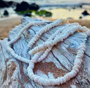 Hawaiian Store Small Puka Shell Choker Necklace (Choose Length) - Picture 1 of 10
