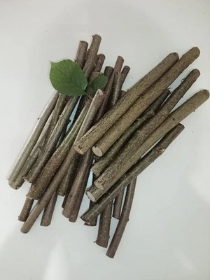 1 kg frisches Haselnuss Naturholz Nagerholz Bastelholz - Bild 1 von 2