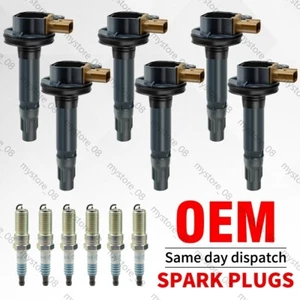 (6 piezas) Bobina de encendido UF646 bujía SP534 para Ford F-150 Transit EcoBoost 3,5 L - Imagen 1 de 10