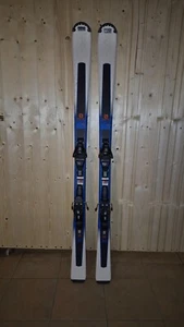SCI SALOMON ADULTO USATI MISURA 160 CM - Foto 1 di 2