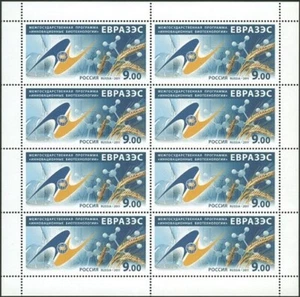Rusia EAEC 2011 - Biotecnologías innovadoras MNH - Imagen 1 de 1