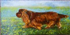Sussex Spaniel color print by Martha Van Loan 11 x 17