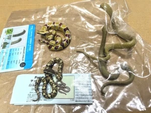 Furuta Choco egg Python, Colorata Python & Noah Pal's Cobra (3 kits set) Snakes - Picture 1 of 4