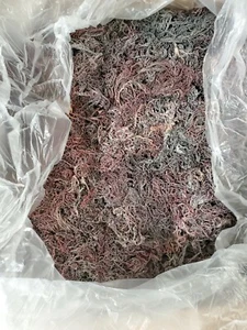 4oz - Wildcraft Purple Sea moss - Picture 1 of 1