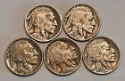 Five Full Date Buffalo Nickels with Five Different Dates!