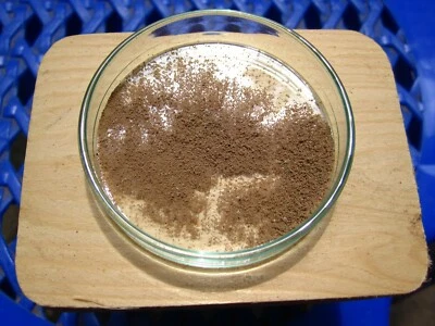 Fairy Shrimp eggs Food For New born fish, Betta ,Guppy, Killifish - Image 1 of 4