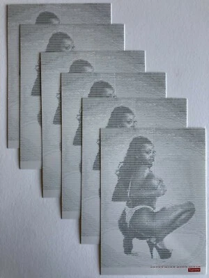 Supreme Digi Girl Sticker 100% Authentic SS17 Season