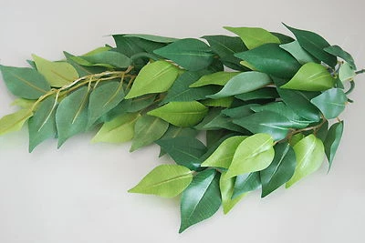 Reptil FMR Vivarium Ficus kleine Seidenpflanze 28 cm für alle Aquarien