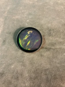 Rare 1980s Edmund scientific catalog item 3-D Horse Image Hologram Pin; Brooch - Picture 1 of 5