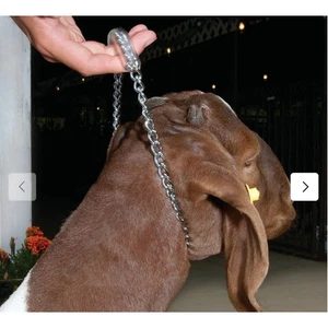 Weaver Chain Goat Collar with Rubber Grip, 24" - Picture 1 of 3