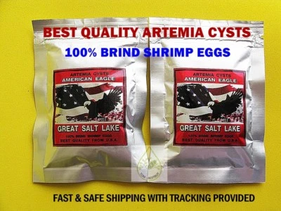 Brine Shrimp Egg American Eagle 100g. USA PREMIUM Artemia Cysts Fish Quality 90% - Image 1 of 4