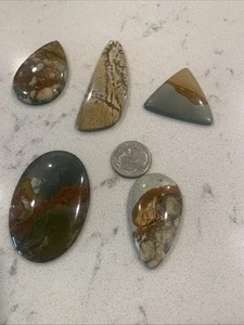 Picture Jasper Lot 5 Total Picture Jaspers From Around The World 210cts AAA+++++ - Picture 1 of 9