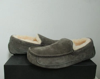 Zapatillas Zapatos UGG ASCOT para Hombre 11US CARBÓN Gamuza Nuevas con Etiquetas Precio de venta sugerido por el fabricante 115 USD Foto 1 de 4