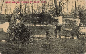 CLAY WI HUNTERS AND GIANT RABBIT 1911 JOHNSON EXAGGERATION POSTCARD 091224 T - Picture 1 of 2