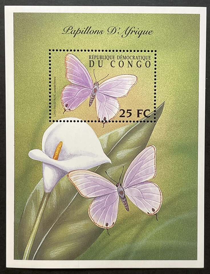 CONGO BUTTERFLY STAMPS S/S 2001 MNH LONG TAILED BLUE LILY INSECT WILDLIFE FAUNA  - Image 1 of 1