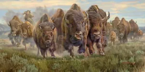 Thunder on the Prairie Bison, Kalon Baughan, Wall Art Print Poster 11" x 14"4623 - Picture 1 of 1