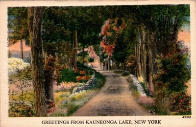 POSTCARD GREETINGS FROM KAUNEONGA LAKE NEW YORK - DIRT ROAD - Image 1 of 2