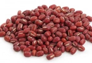 Adzuki Red Bean Seeds |Azuki Aduki Mung Cowpea Edamame Asian Vegetable Seed 2023 - Picture 1 of 4