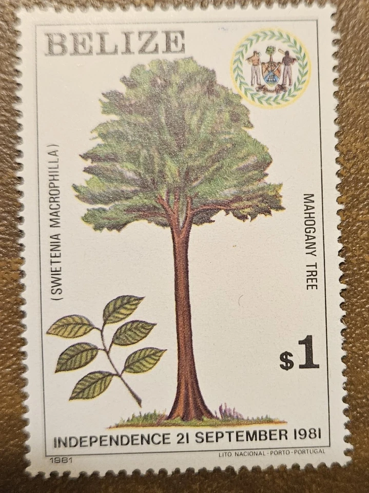 Árbol de miel Belice 1981 (Scott 598; SG 661) MNH Foto 1 de 1
