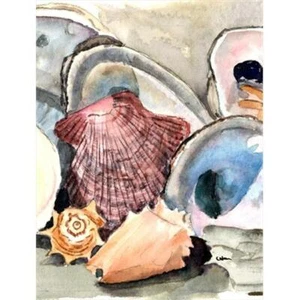 Carolines Treasures 8619CHF Sea Shells Canvas Flag - House Size- 28 x 40 in. - Picture 1 of 1
