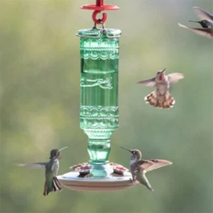 Antica bottiglia in vetro mangiatoia colibrì per arredamento giardino esterno 10 oz nettare - Foto 1 di 8