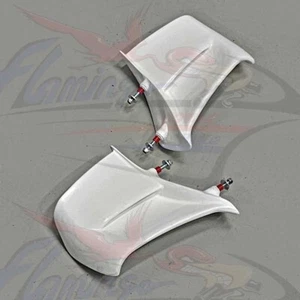 COPPIA ALI ALETTE DUCATI PANIGALE V4 S 2025 NON COLORATE Aviofibra iniezione - Zdjęcie 1 z 4