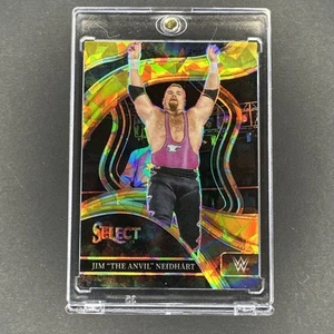Jim "The Anvil" Neidhart 2024 Panini Select Gold Cracked Ice #266 #01/10 - Imagen 1 de 3