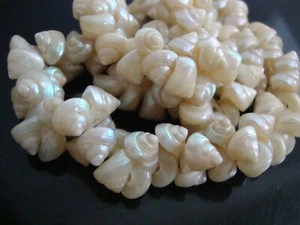 Antique Iridescent Cream Tinny Trochus Shells Necklace - Picture 1 of 16