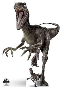 Velociraptor Blue Dinosaurio Oficial De Jurassic World Cartón A Tamaño Real - Imagen 1 de 1