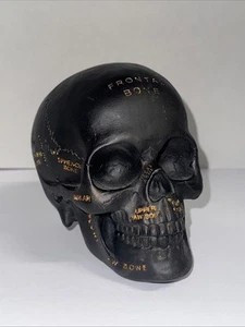 Black Skull Decor - Picture 1 of 4