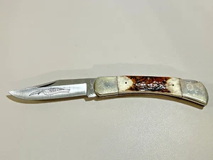Parker & Son Texas Sesquicentennial 1836-1986 Pocket Hunting Knife M-1481 - Picture 1 of 19