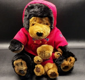 2003 Belk Belkie 13" Teddy Bear Brown With Attached Cub "New Friend" Red Hoodie - Picture 1 of 7