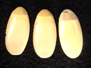 ANTIKE JAPANISCHE TAISHO-ÄRA um 1920 KNOCHEN KOTO PICKS YAMATA RYU TSUME - Bild 1 von 16