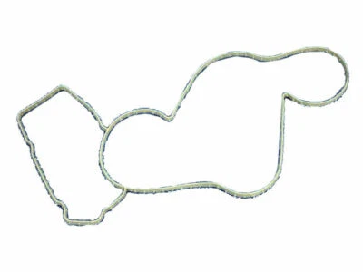 Junta de bomba de agua Mopar 12531FP 2005 2007 2004 2006 para Dodge Ram 1500 2003-2008 Foto 1 de 2