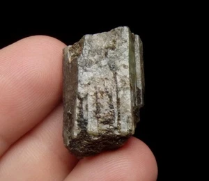 BERYL bonito cristal --- Austria - Salzburgo ALPES - Habachtal /pl514 - Imagen 1 de 12